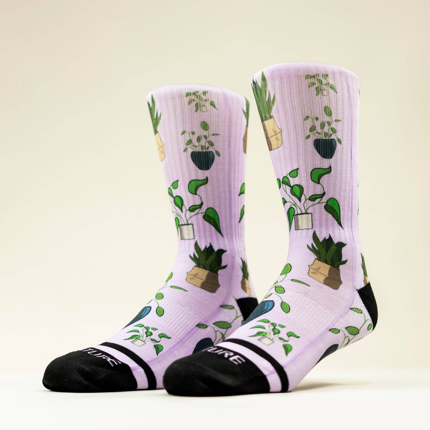 House Plant Socks