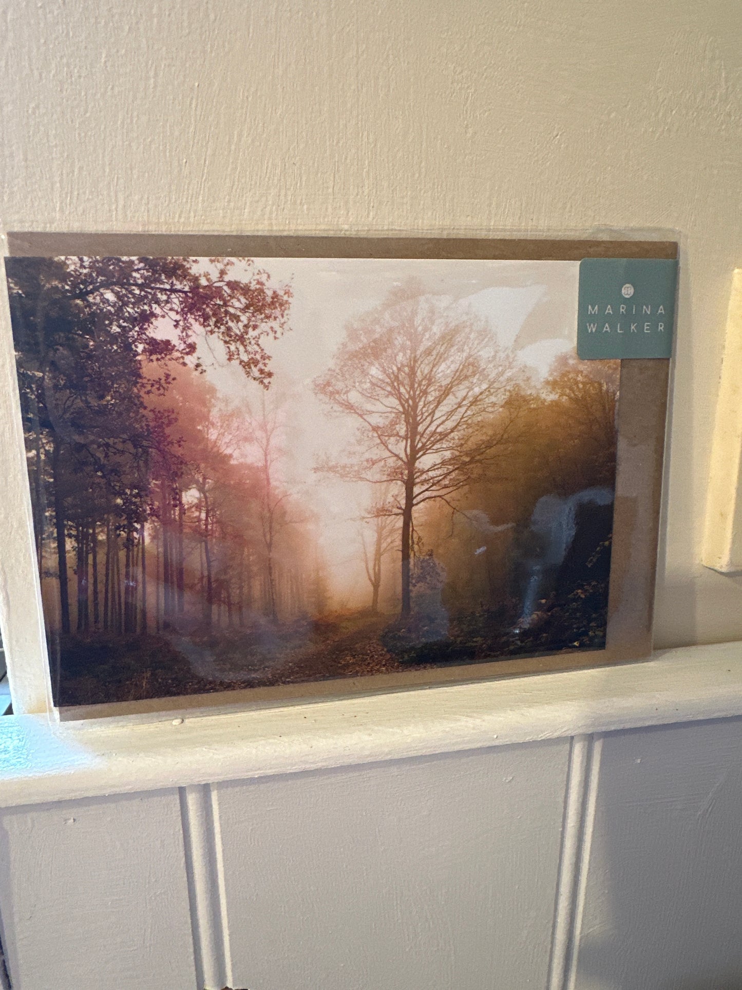 Marina Walker Photography Cards