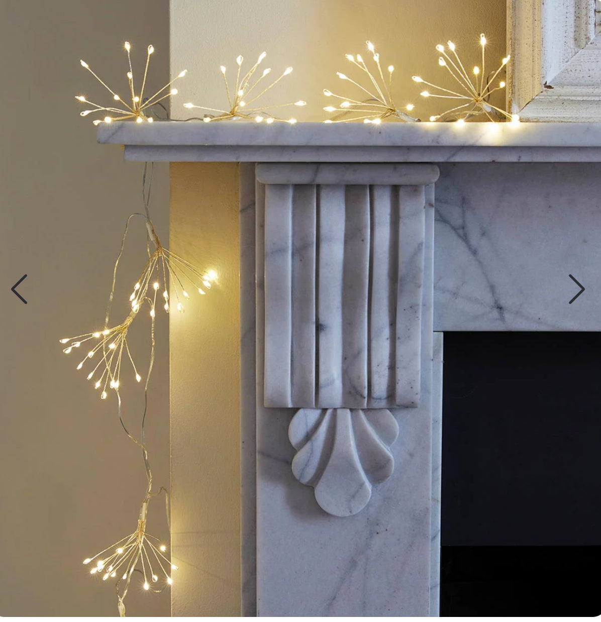 TT Allium Starburst String Lights