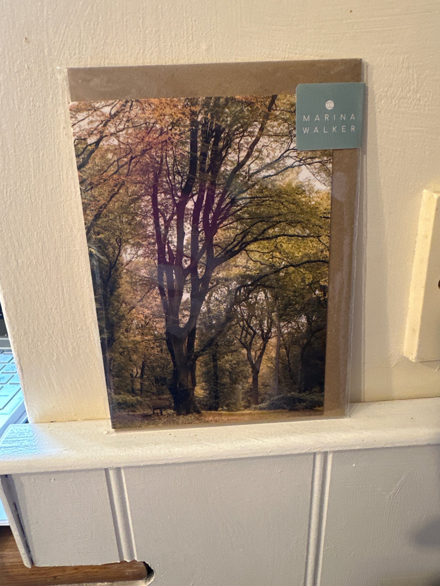 Marina Walker Photography Cards