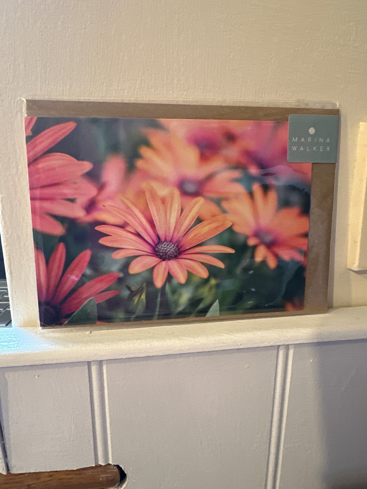 Marina Walker Photography Cards