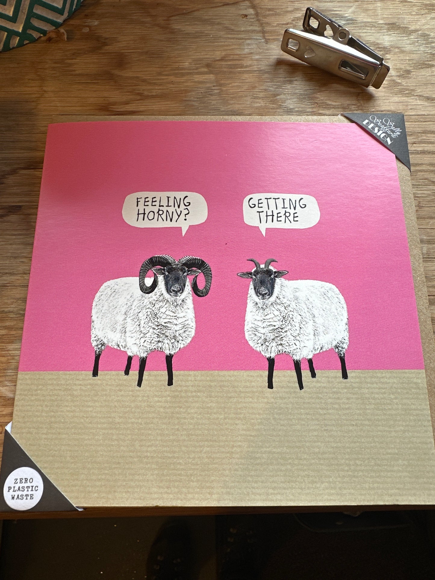Sally Scaffardi Design Greeting Cards