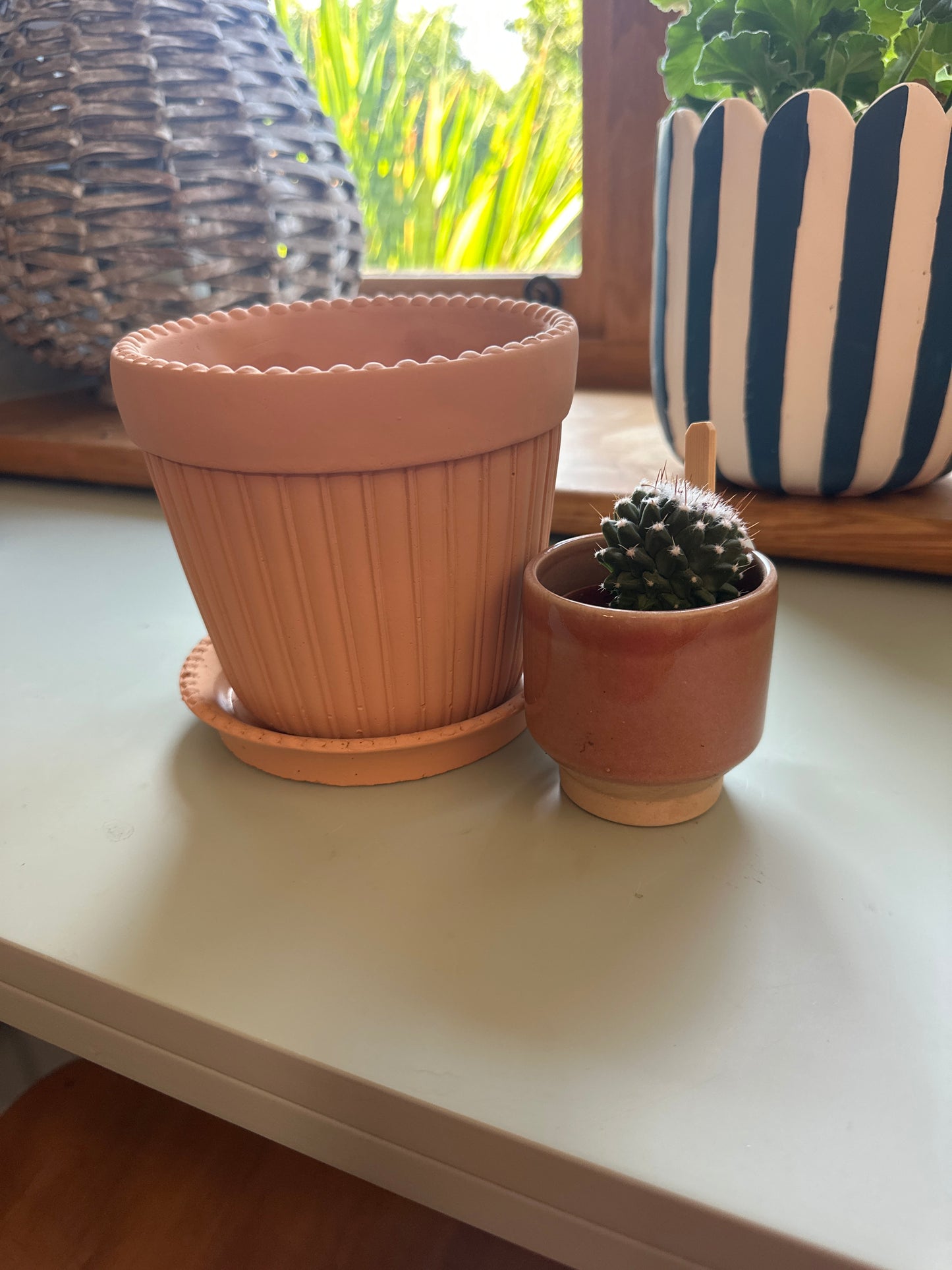HS Scalloped Terracotta Coloured Pot Medium.