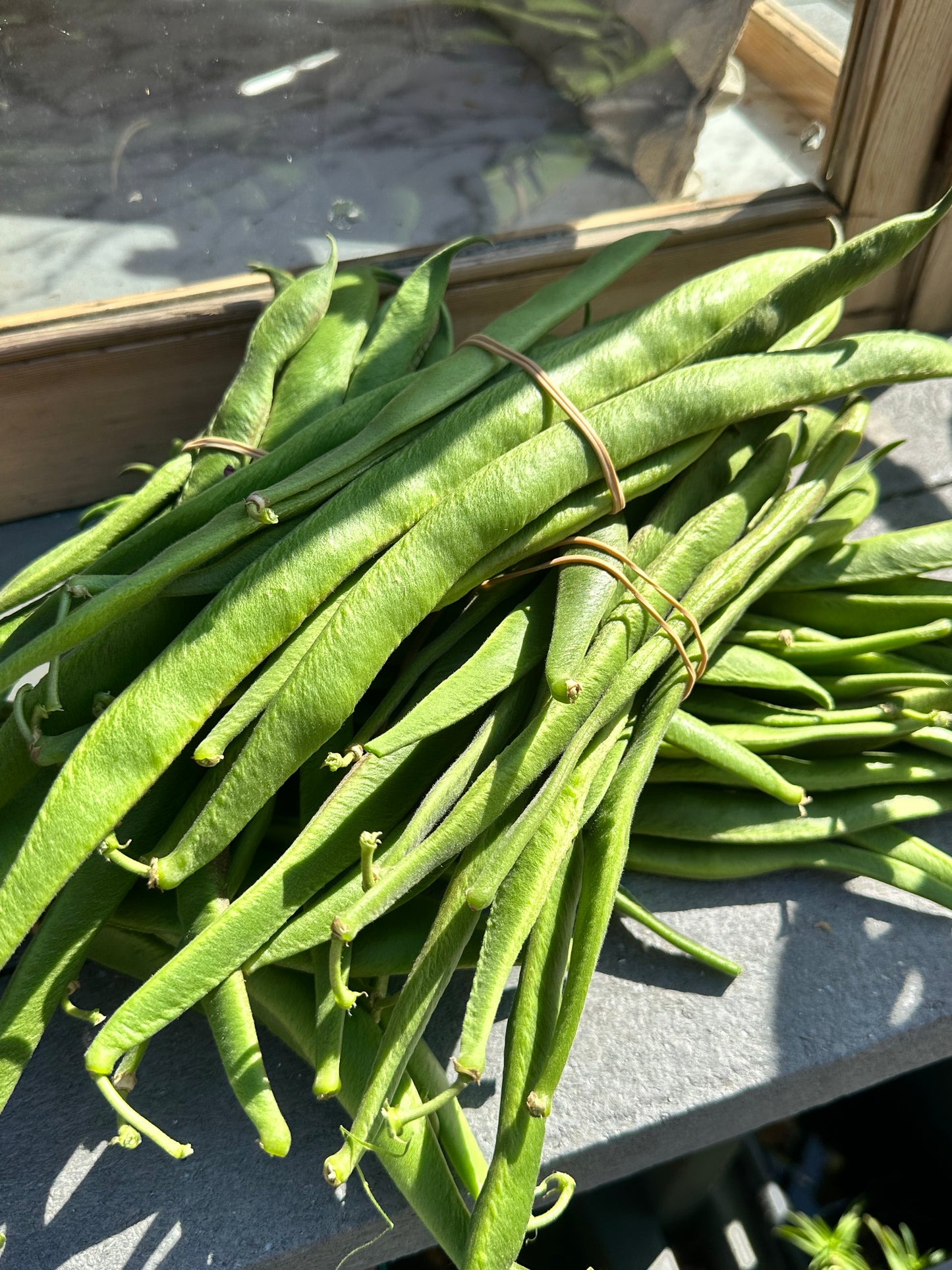 MHF Runner Beans 250g