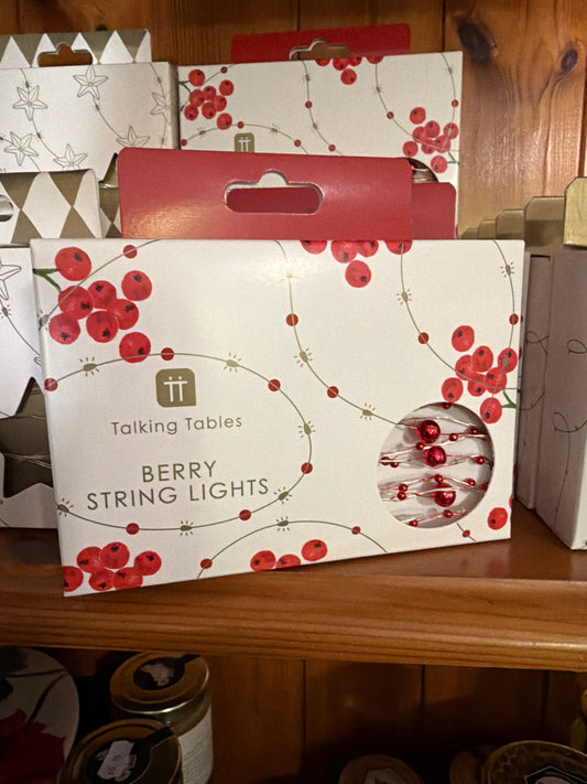 TT Botanical Holly Bead String Lights 3M 60L Indoor
