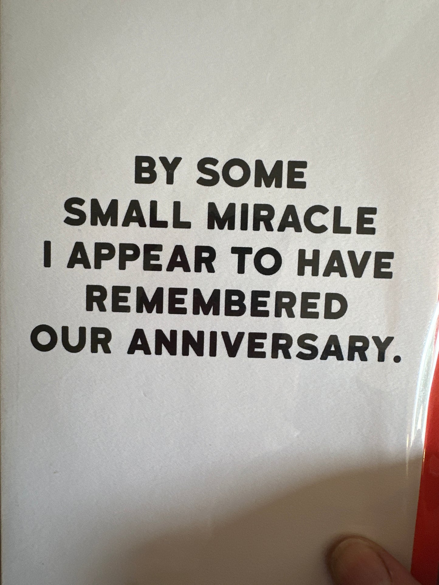 Holy Flaps Greeting Cards