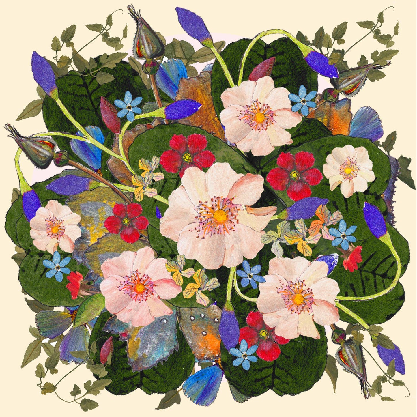 Buds and Blooms