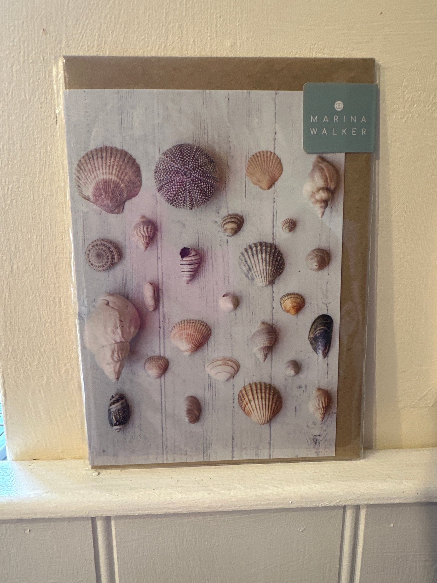 Marina Walker Photography Cards