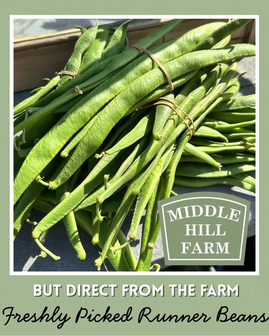 MHF Runner Beans 250g