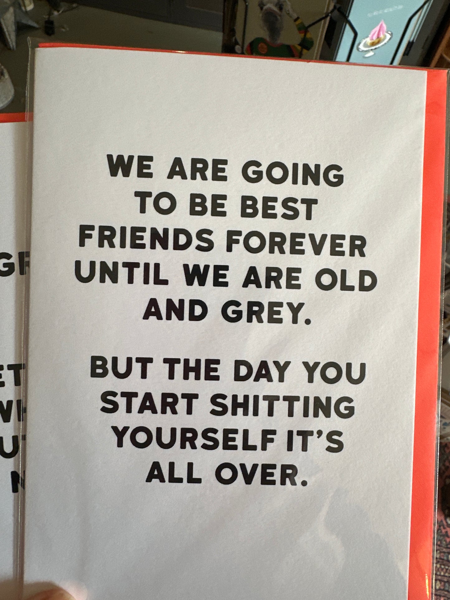 Holy Flaps Greeting Cards