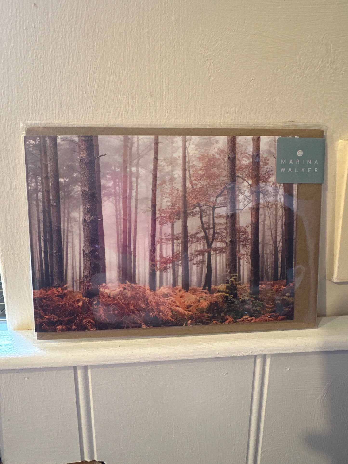 Marina Walker Photography Cards