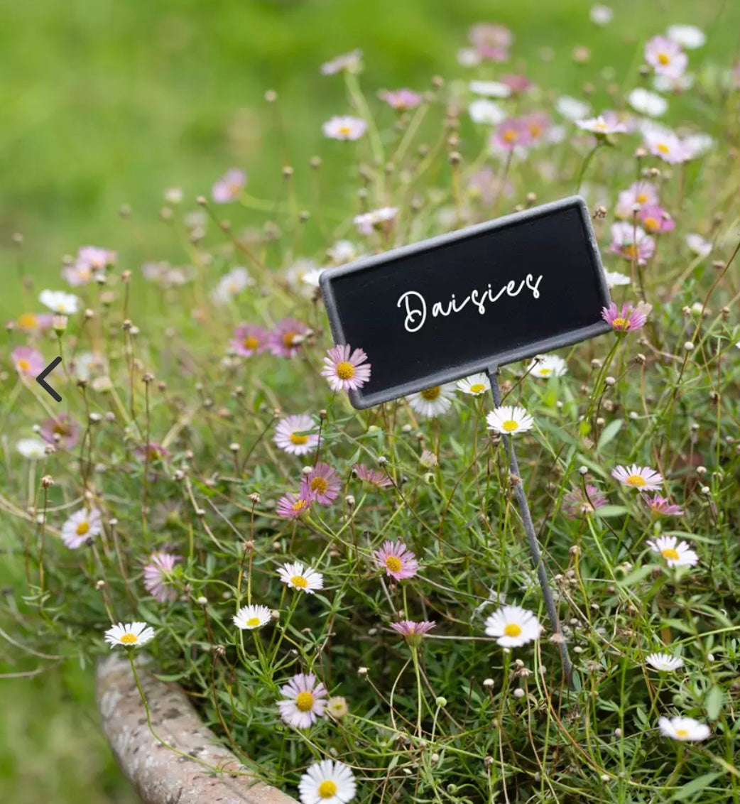 GI Metal Blackboard Plant Marker