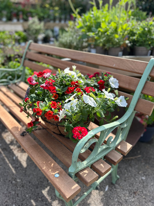 Summer Coco Hanging Baskets 30cm