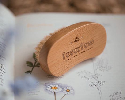 Feverfew Natural Nail Brush
