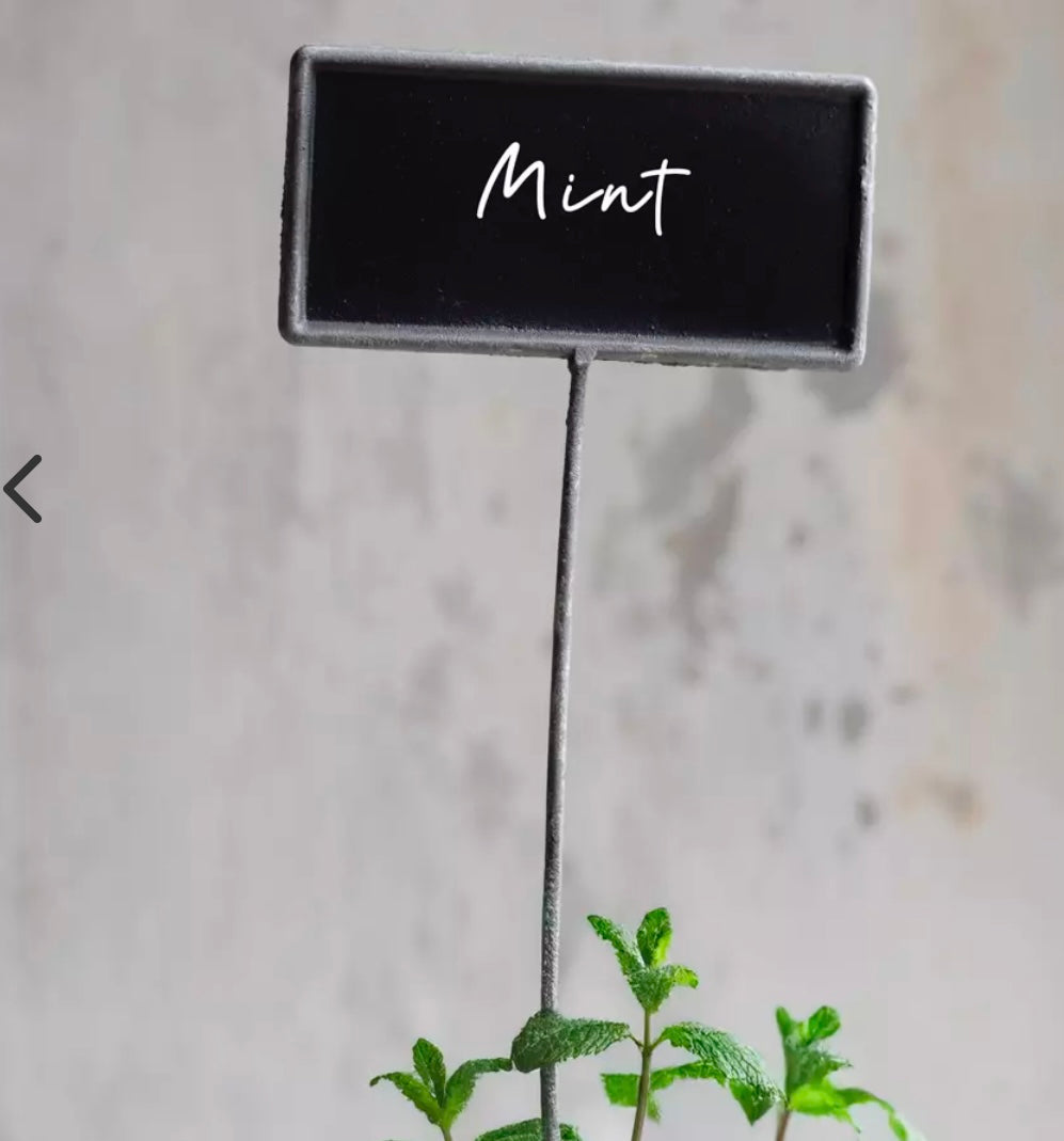 GI Metal Blackboard Plant Marker