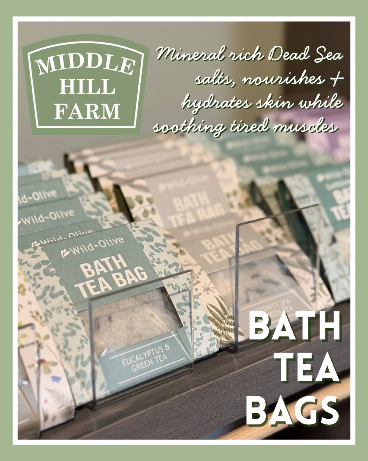 Wild - Olive Bath Tea Bags