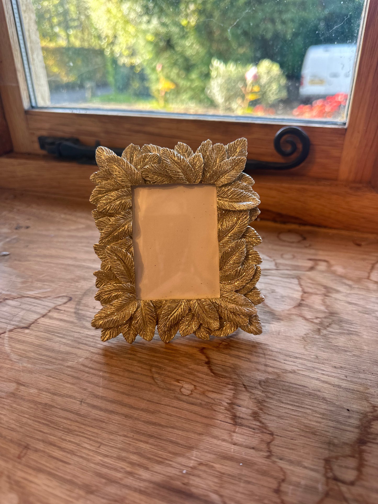 Miniature Gold Feather Picture Frame