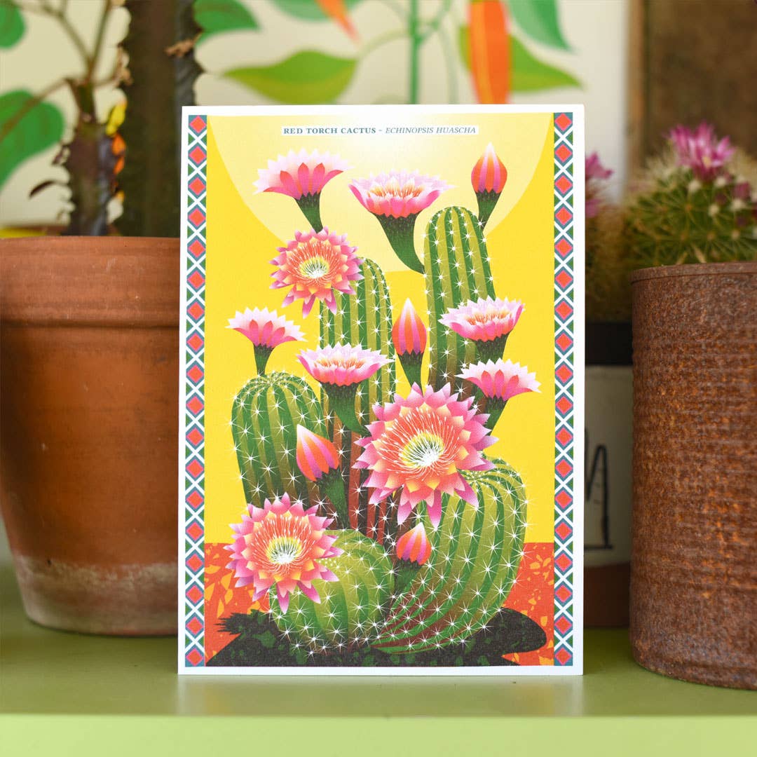 Cactus greetings card