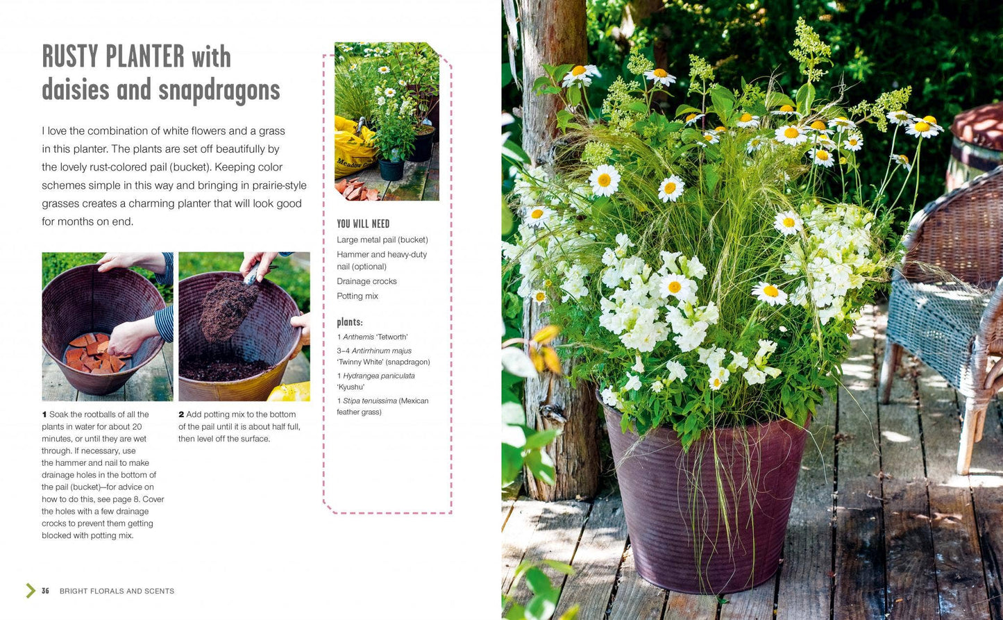 Small Summer Gardens
